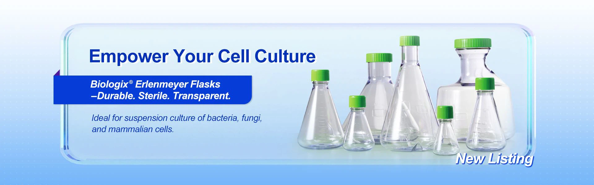 Erlenmeyer Flasks