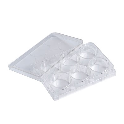 실험실 플라스틱 세포 배양 플레이트 6well 12 Well 24 Well 48 Well 96 Well