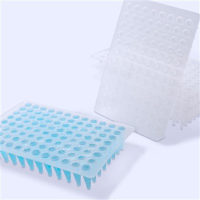 Pcr 플레이트 제조 업체 공급 업체 공장 가격