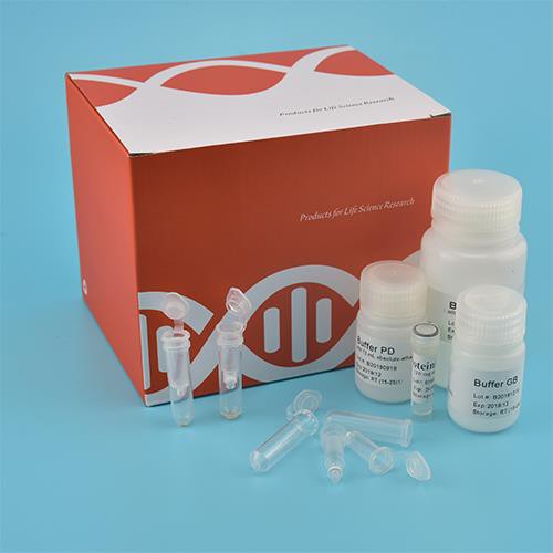 혈청 및 혈장 순환 DNA 키트 (스핀 칼럼)