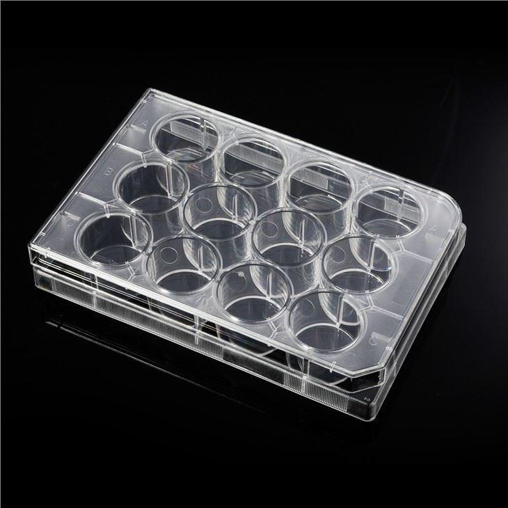 Transparent Ps Flat Bottom 12 Well Cell Culture Plate Disposable