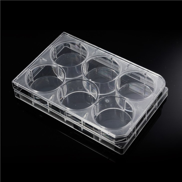 Cell Culture Plate 6 Well Sterile Plastic Cell Culture Plate Microplate For Medical Lab