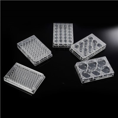 6/12/24/36/48/96-웰 TC 처리된 세포 배양 플레이트