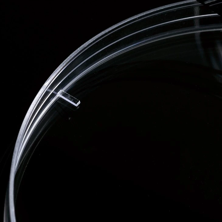 Transparent Petri Dish With Vented Lid