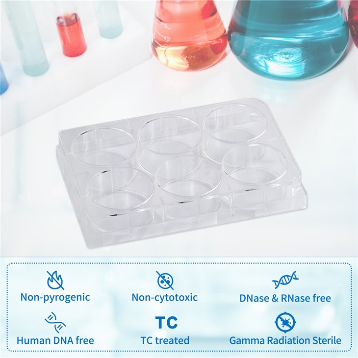 12 Well Plastic Tissue Culture Plate Disposable TC Treated Lab Consumables Cell Culture Plate